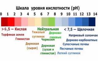Известкование почвы осенью — зачем и как проводить