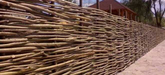 Как сделать забор из лозы своими руками: фото и видео процесса плетения