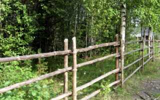 Легкий сквозной забор (изгородь) из жердей своими руками