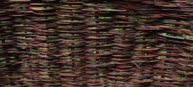 Как сделать и сплести забор из веток своими руками: фото и видео