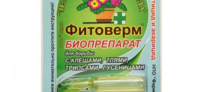 Фитоверм — чем отличается биосредство от садовой химии, как и от чего его применять