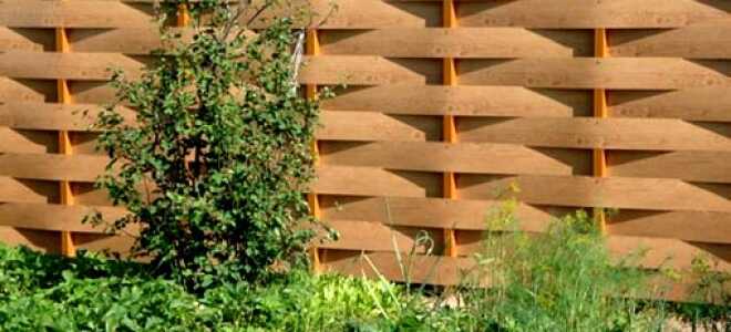 Забор плетенка из досок: как сделать ограждение своими руками