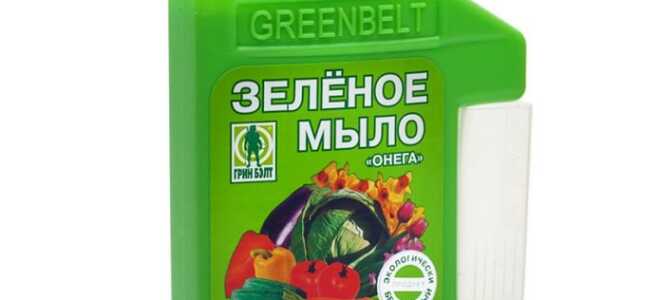 Зелёное мыло – биопрепарат для защиты растений от вредителей