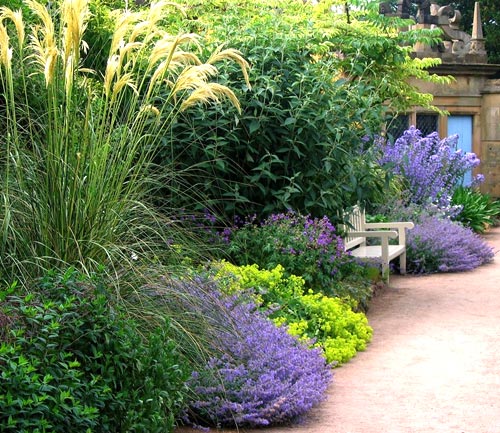 цветы вдоль забора цветы вдоль забора