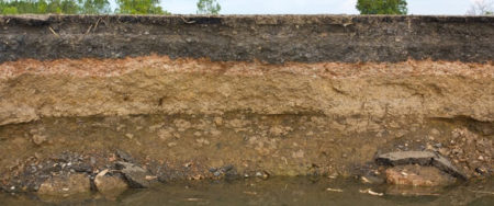 глинистая почва 