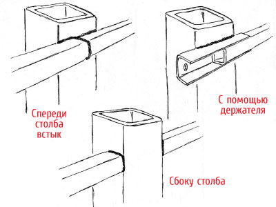 krplenie-lagov