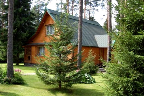 крупные деревья на участке 