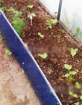  ограждение из поликарбоната 