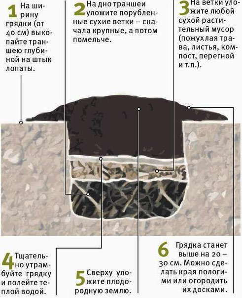 схема компостная грядка 