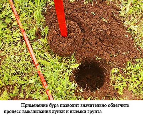 выкапывание лунок 