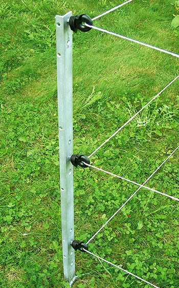 электропастух