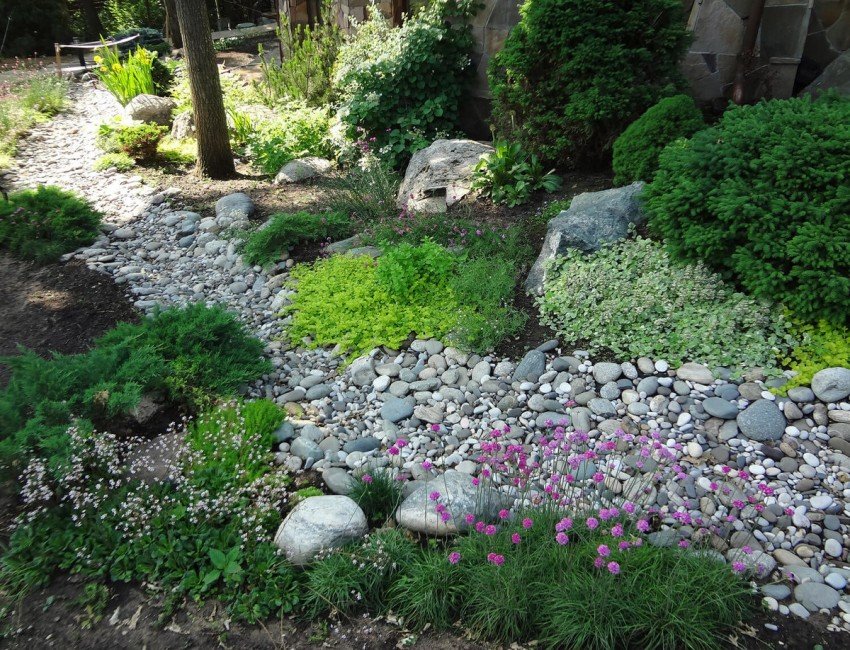 Сухой ручей среди живописной зелени