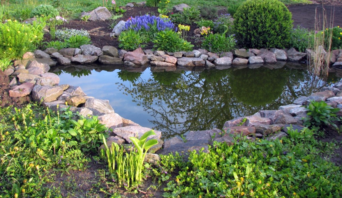 Пруд с крупными камнями