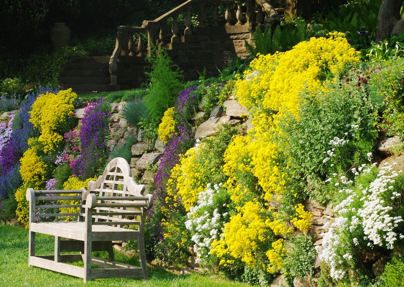 Вертикальный альпинарий