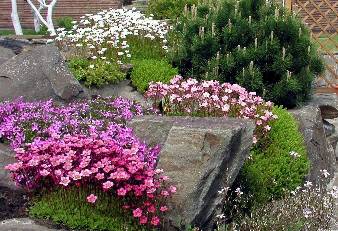 Простая композиция