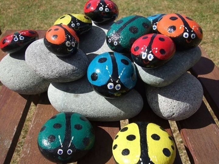 Пёстрое семейство божьих коровок