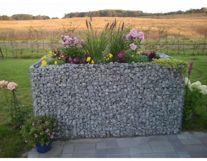 Мини-клумба из сетки, наполненной щебнем