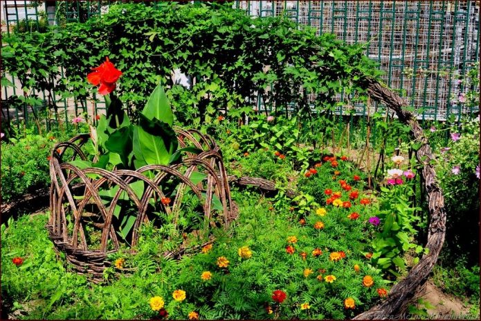 Цветник из плетня в виде большой корзины