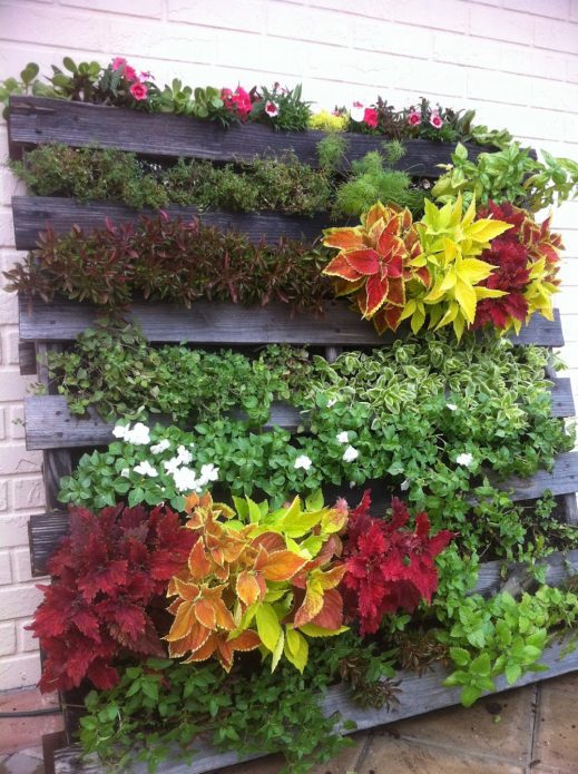 Цветочная композиция в деревянном поддоне