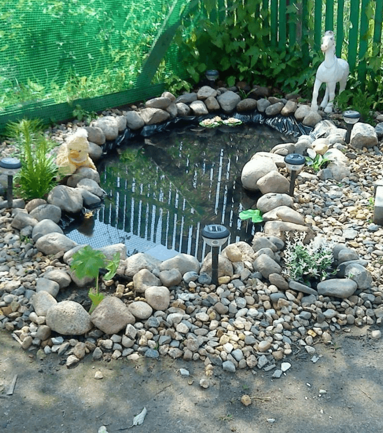 Неглубокий прудик