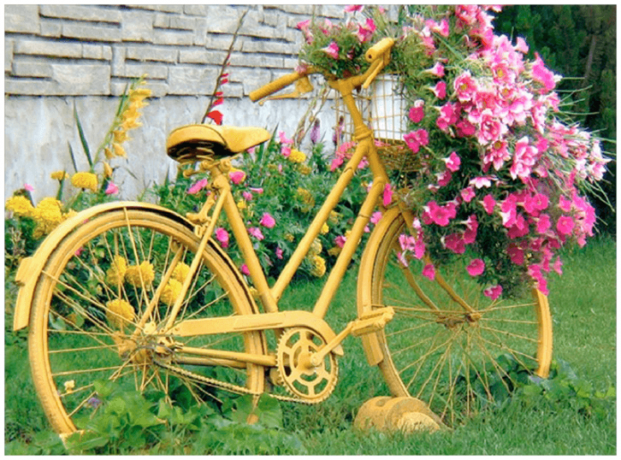 Жёлтый велосипед с петуниями