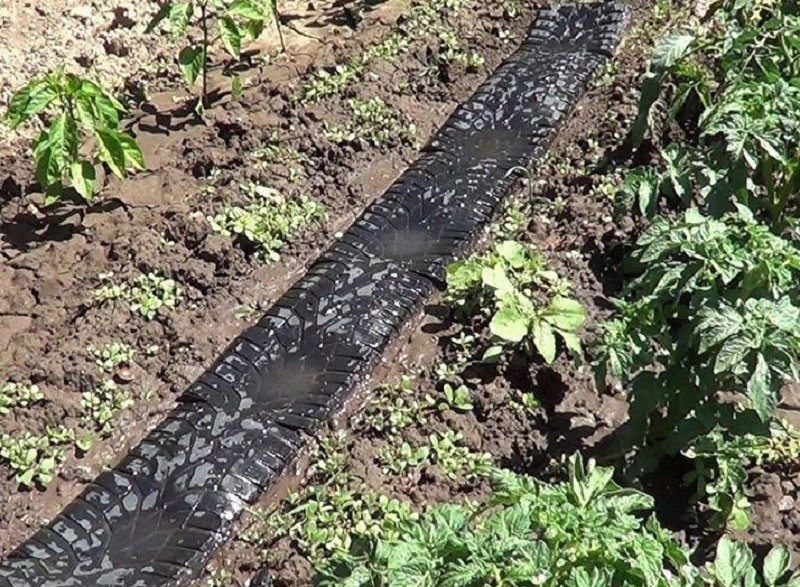 Садовая дорожка