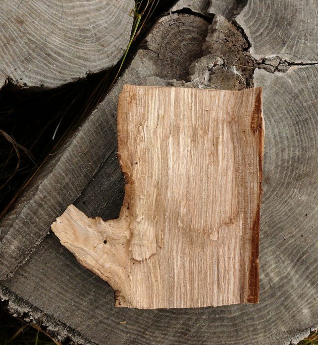 Полено для головы Буратино