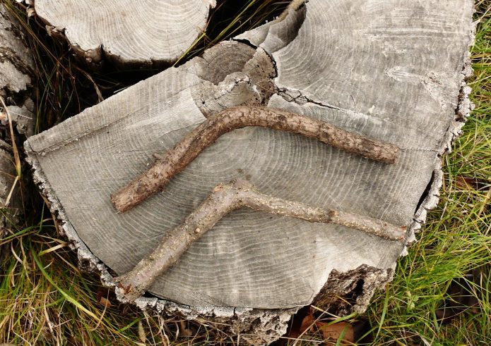 Ветки для ножек Буратино