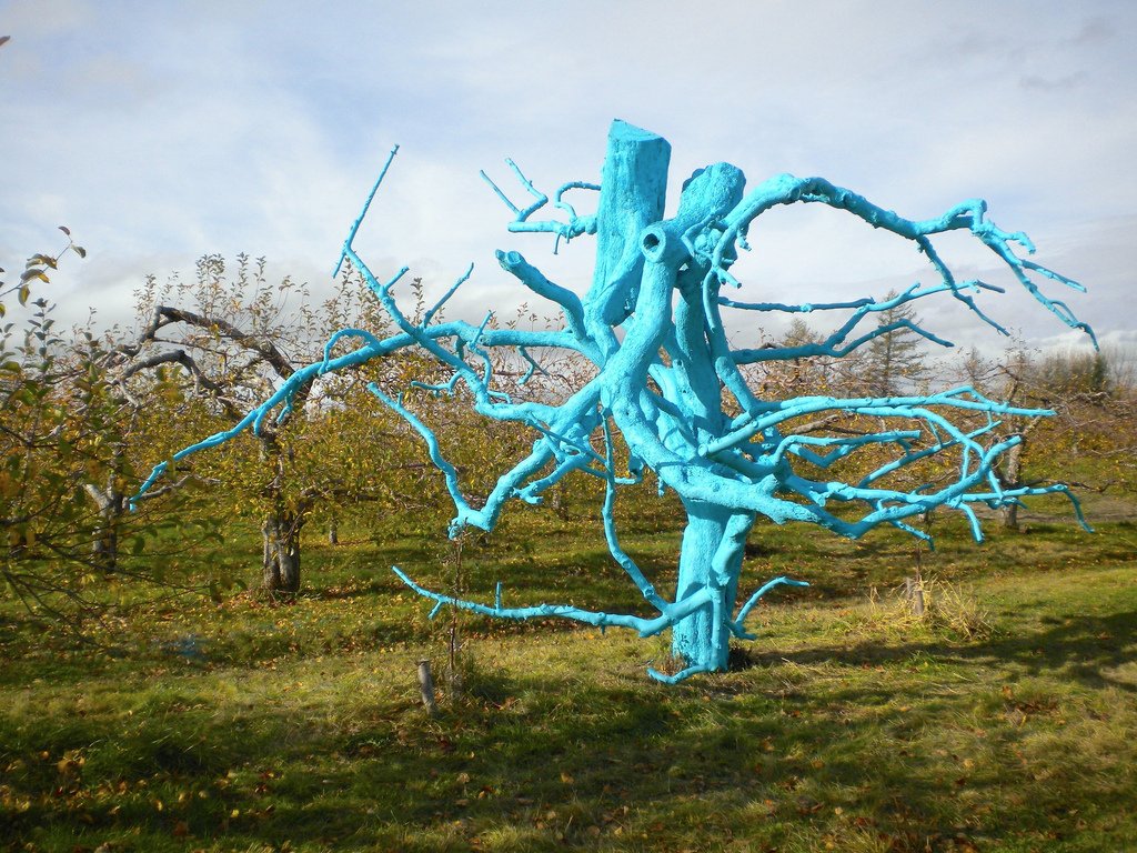 Композиция из покрашенного сухостоя