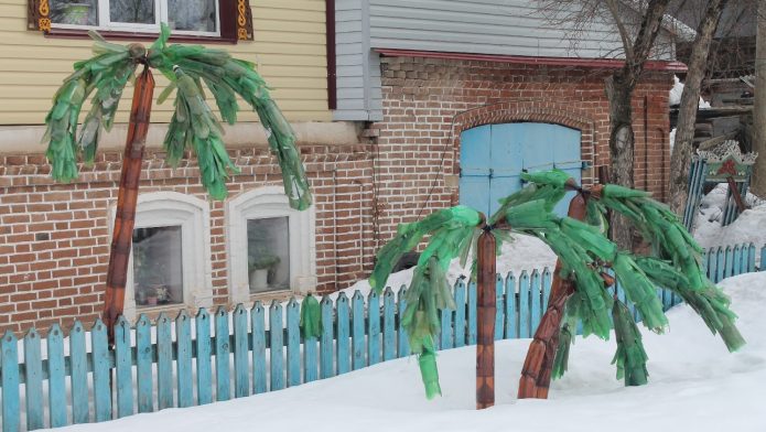 Пальмы с простыми стволами