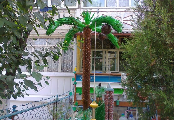 Плоды кокоса на пальме из пластиковых бутылок
