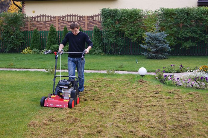 Работа скарификатором на газоне