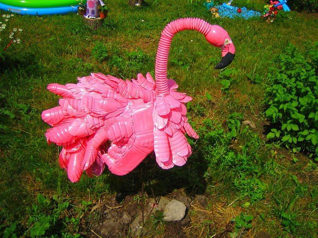 Розовый фламинго