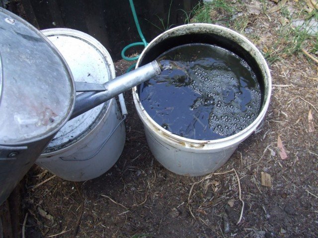 Смешивание куриного помёта с водой