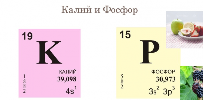 Калий и фосфор