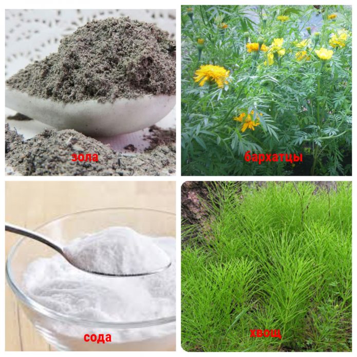 компоненты для народных средств от ржавчины