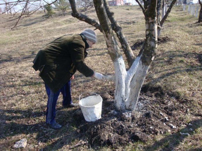 День для побелки