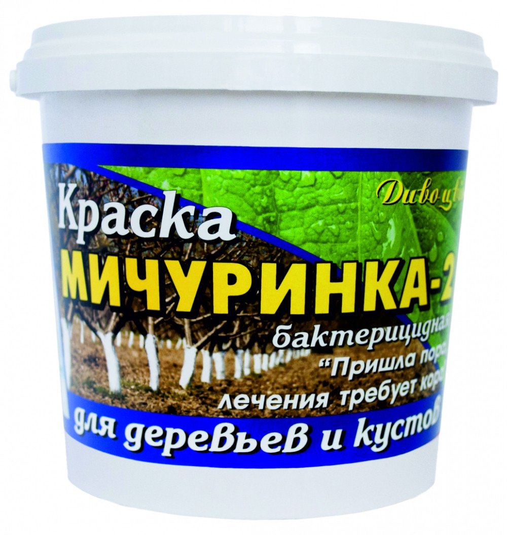 Мичуринка