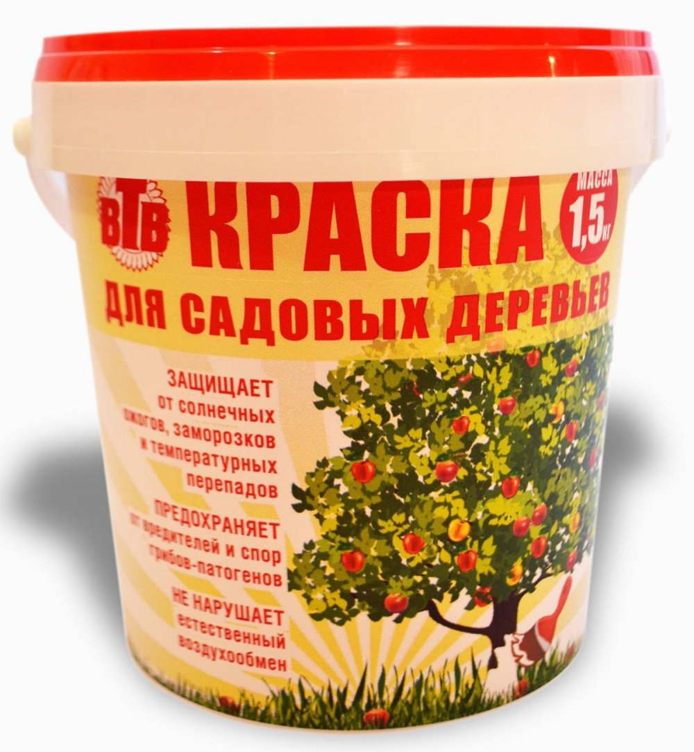 ВТВ