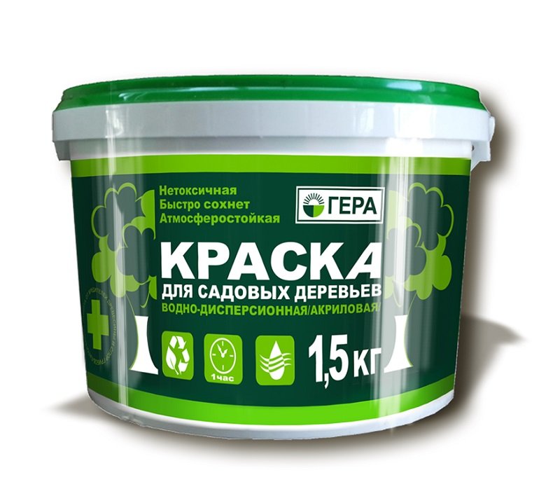 Гера