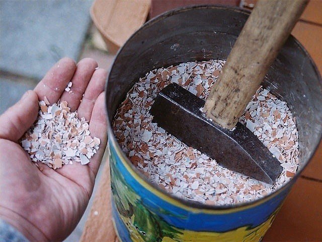 Измельчение скорлупы молотком