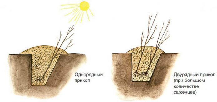 Схема прикопки