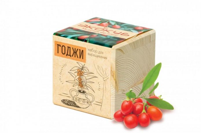 «ЭкоКуб годжи»