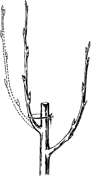 Создание нового проводника