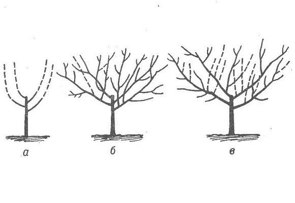 Получение чаши
