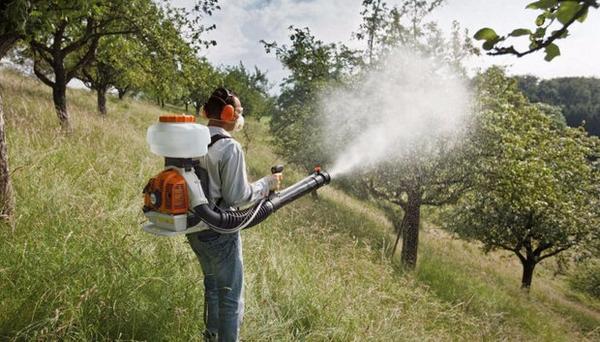 Обработка сада химикатами