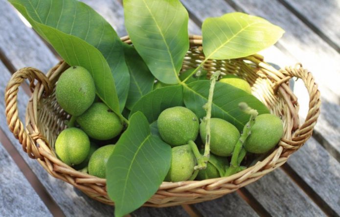 Незрелые грецкие орехи